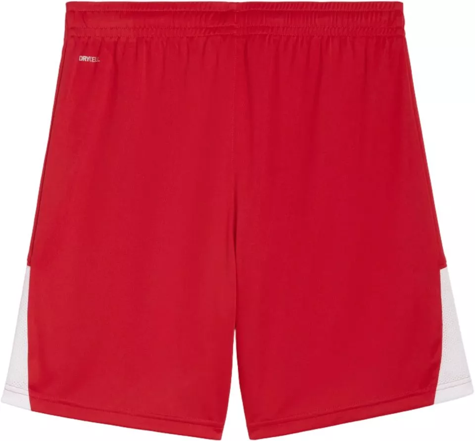 Sorturi Puma teamLIGA26