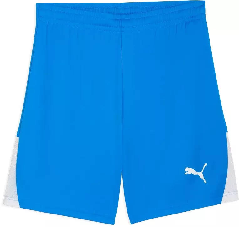 Шорти Puma teamLIGA26