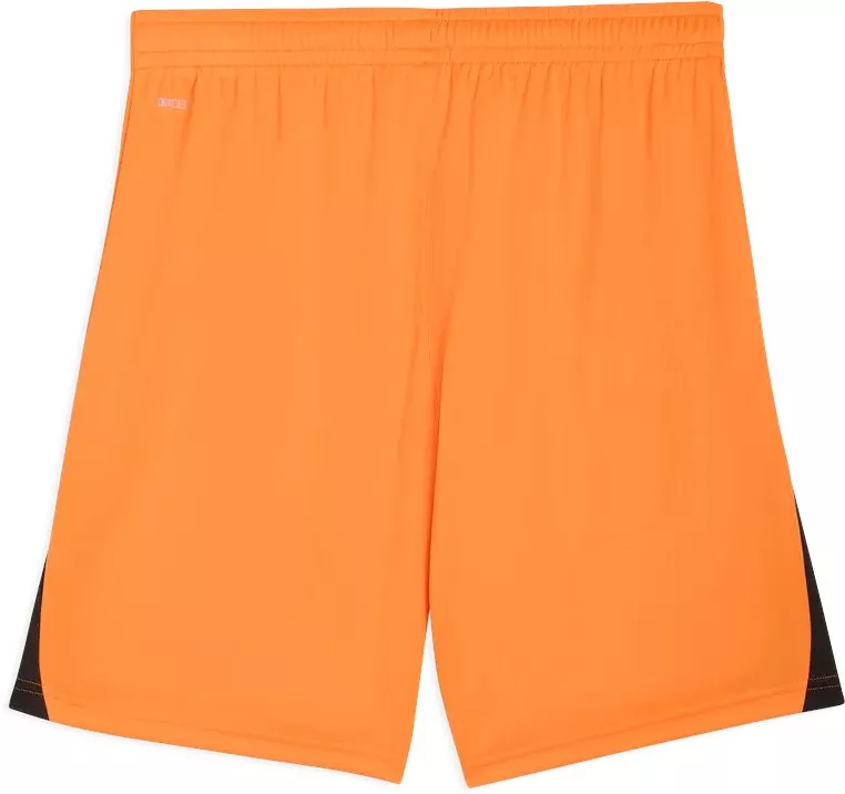 Šortky Puma teamLIGA26