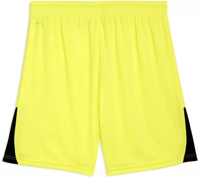 Kratke hlače Puma teamLIGA26