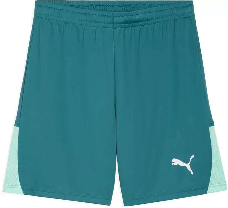 Šortky Puma teamLIGA26
