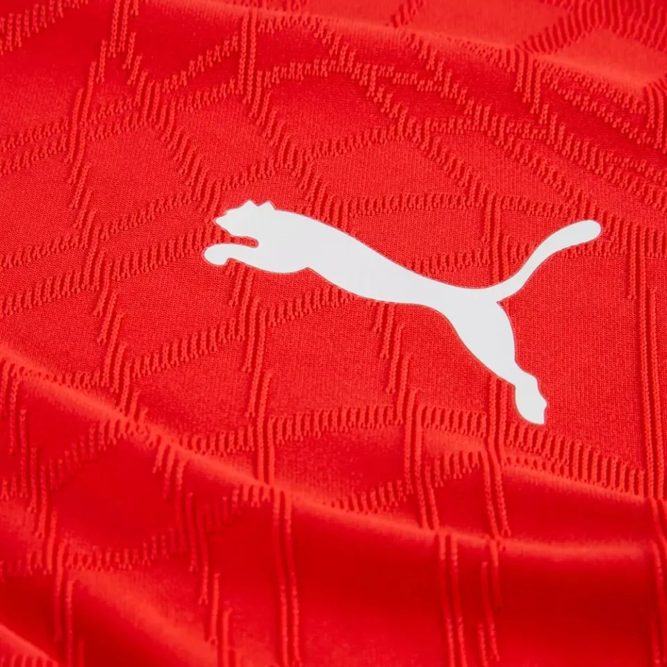 Puma  teamFINAL26 Knit Póló
