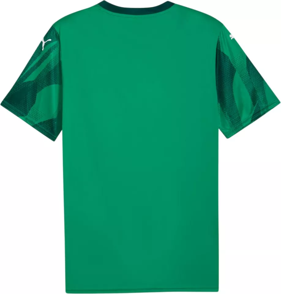 Koszulka Puma teamFINAL Graphic+