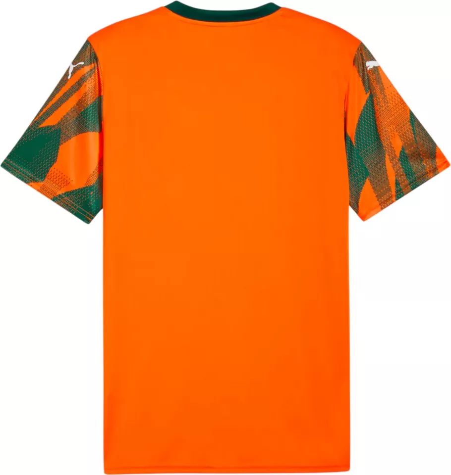 Koszulka Puma teamFINAL Graphic+