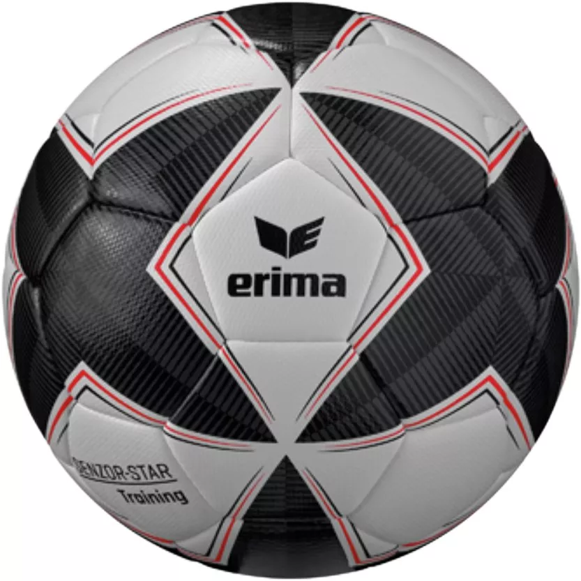 Piłka Erima -Star Training Ball