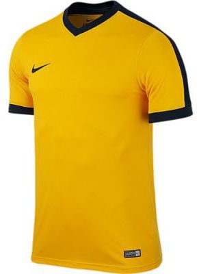 Jersey Nike SS STRIKER IV JSY