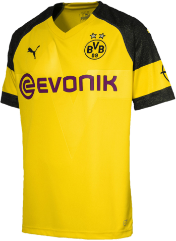 Dres s krátkým rukávem Puma Borussia Dortmund 2018/19