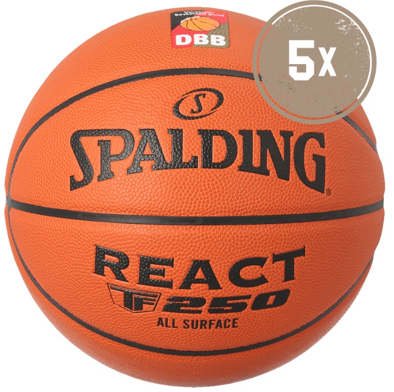 Lopta Spalding Basketball DBB React TF-250 - 5er Ballpaket