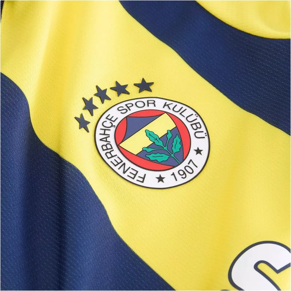 Puma FSK Home Jersey Replica Jr 2024/25 Póló