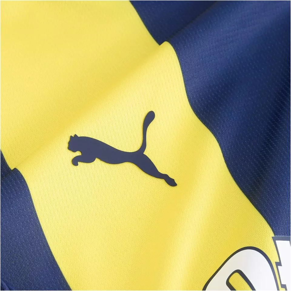 Puma FSK Home Jersey Replica Jr 2024/25 Póló