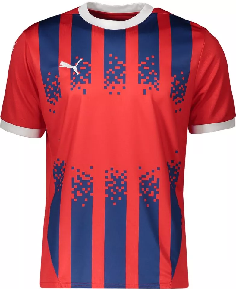 Trøje Puma team 2024/25