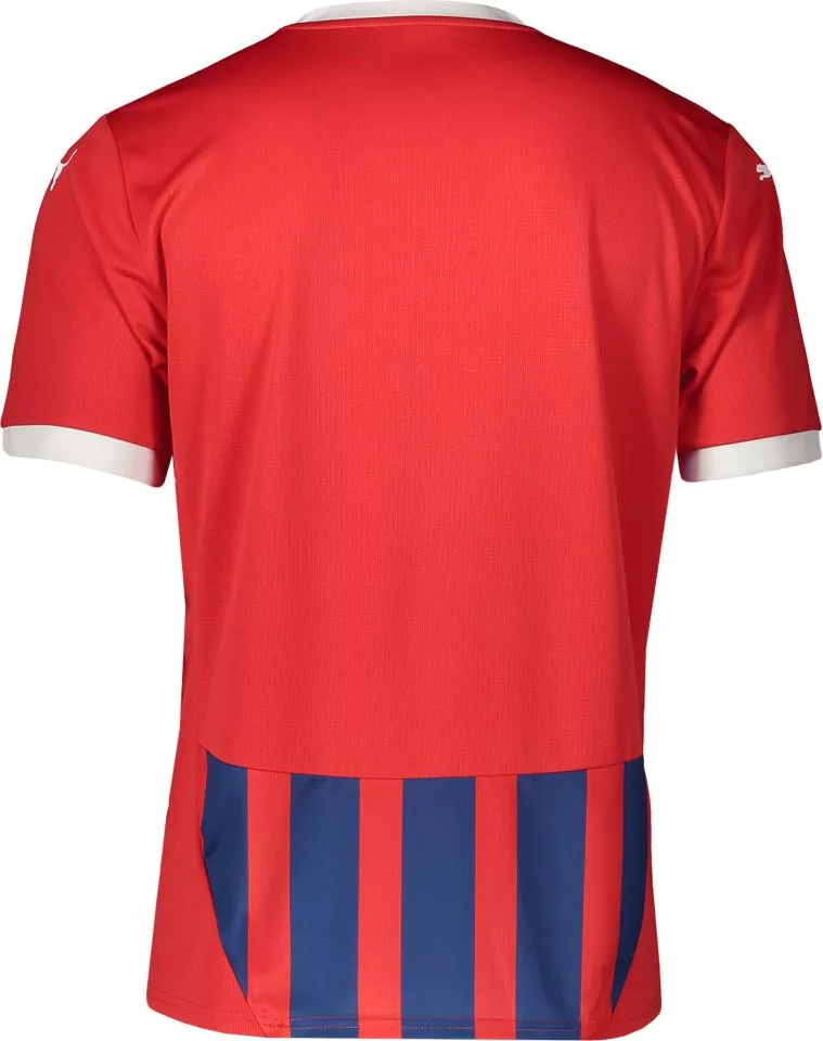 Trøje Puma team 2024/25
