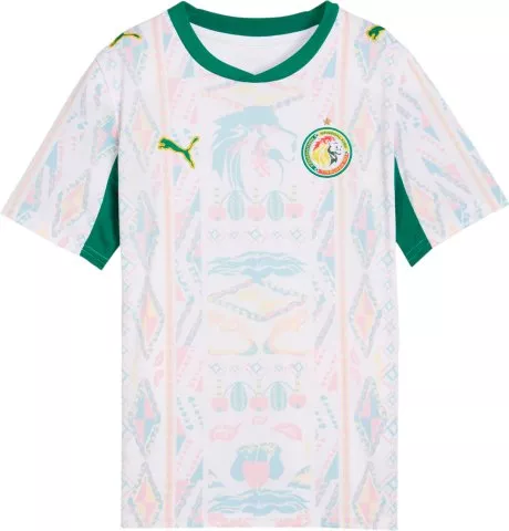 Senegal Home Replica 2026 Kids