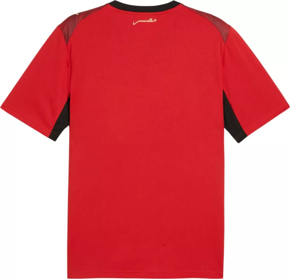 Koszulka Puma Egypt Home Replica 2026