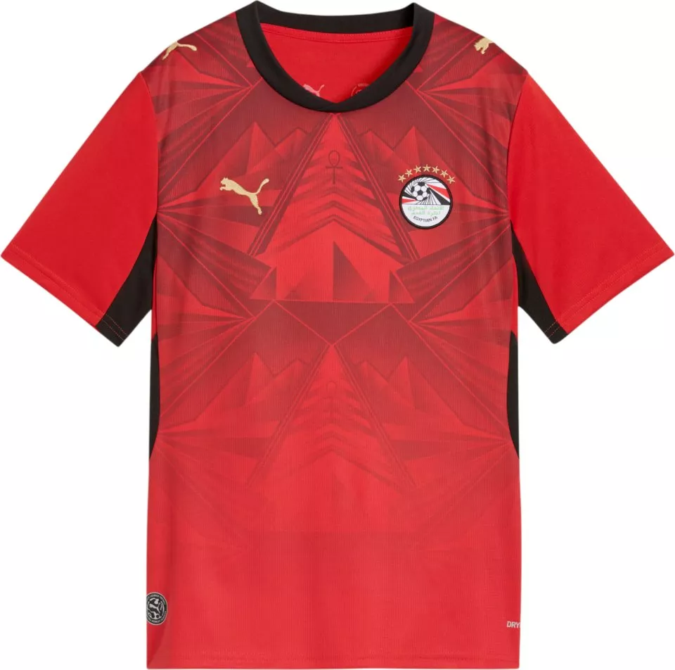 Риза Puma Egypt Home Replica 2026 Kids