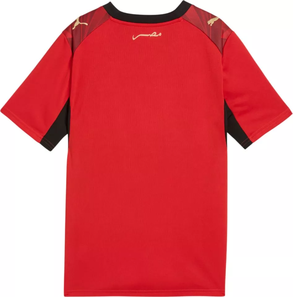 Риза Puma Egypt Home Replica 2026 Kids