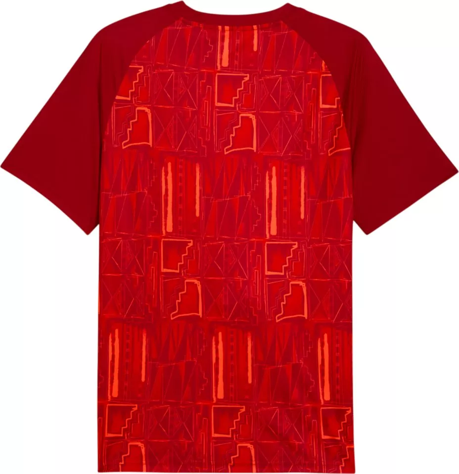Koszulka Puma Ghana Warmup 2026