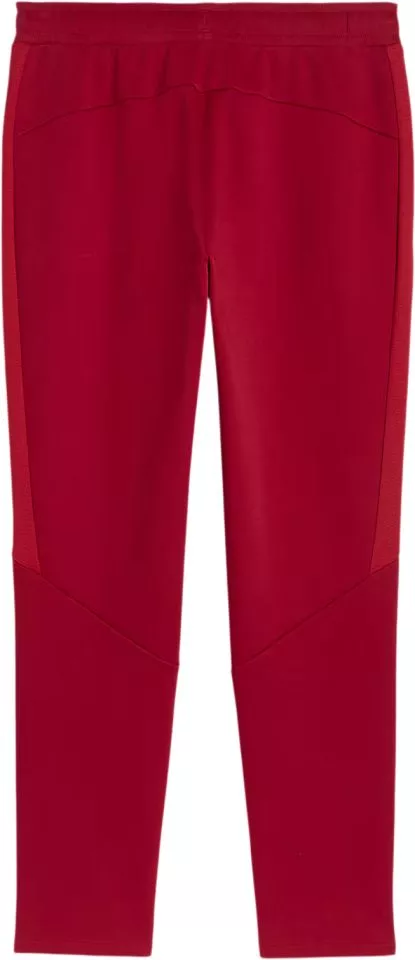 Hlače Puma Galatasaray SK Evostripe