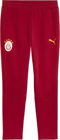 Galatasaray SK Evostripe