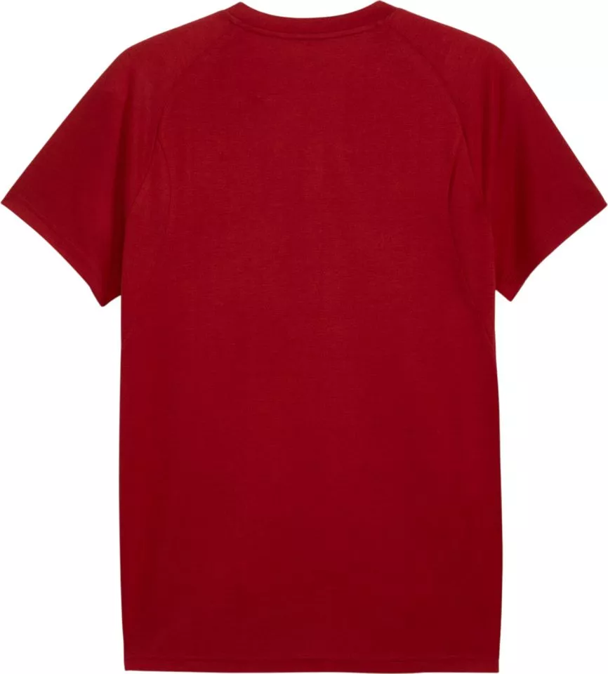 Puma Galatasaray S.K. Evostripe Rövid ujjú póló