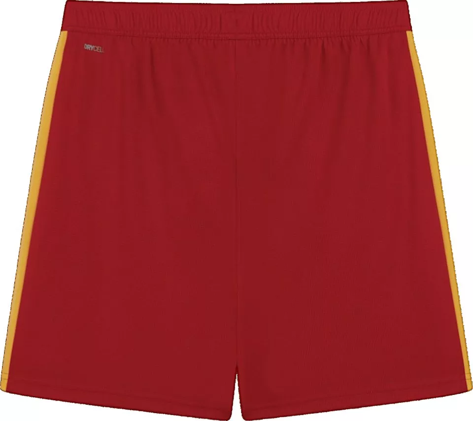 Pánské šortky Puma Galatasaray SK T7