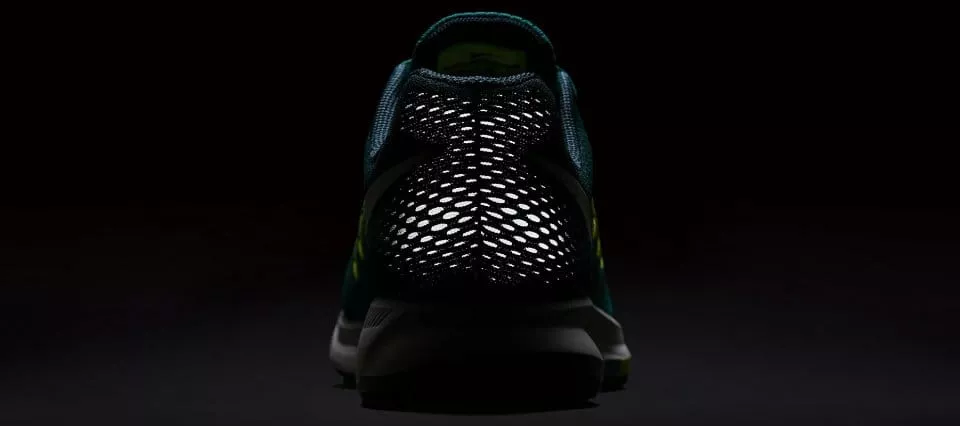 Pánské běžecké boty Nike Air Zoom Pegasus 33