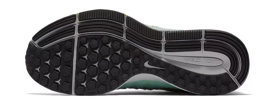 Dámské běžecké boty Nike Air Zoom Pegasus 33 Shield