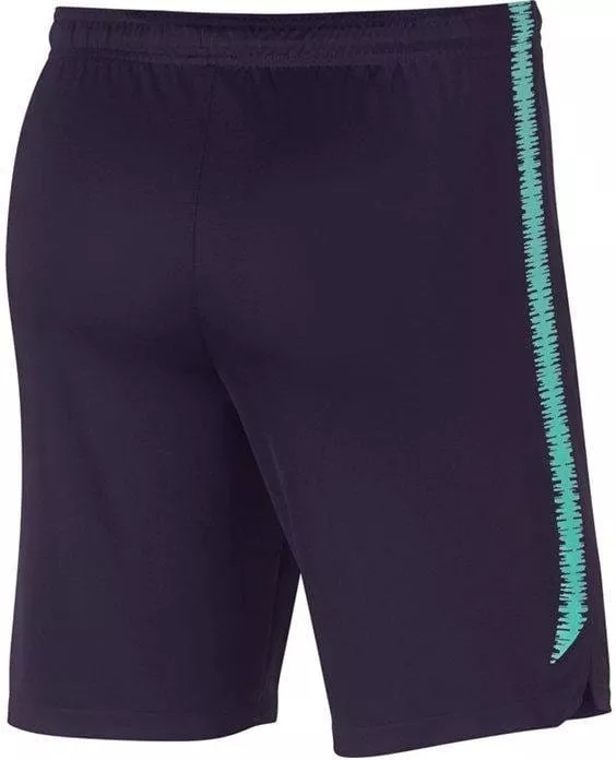 Pantalón corto Nike fc barcelona dry squad short lila