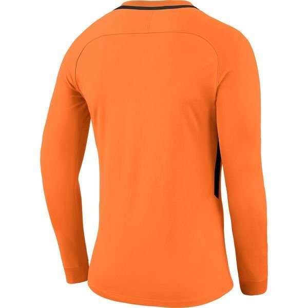 Men's goalkeeper sweatshirt Nike Dry Park Goalie III Jersey GK LS