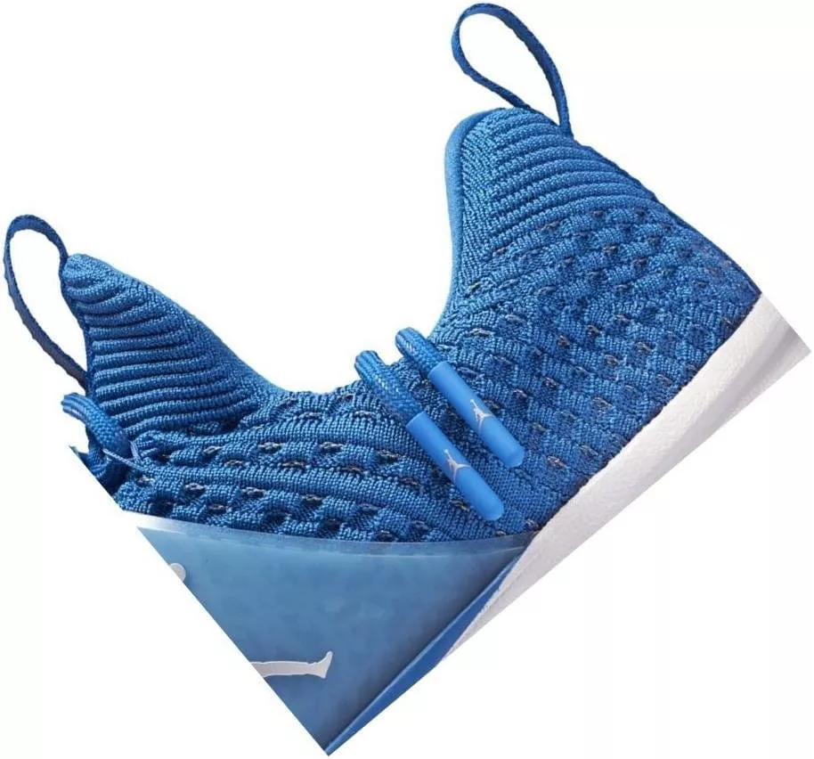 Schuhe JORDAN TRAINER 2 FLYKNIT