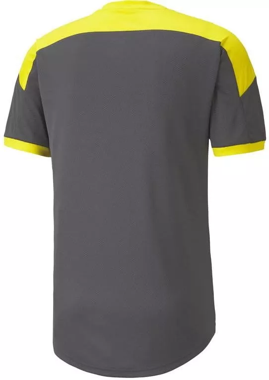 T-Shirt Puma M BVB Dortmund Trainings t 2020/21