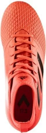 Football shoes adidas ACE 17.3 FG J