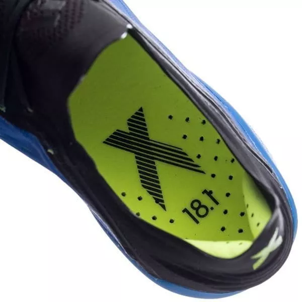 Pánské kopačky adidas X 18.1 FG