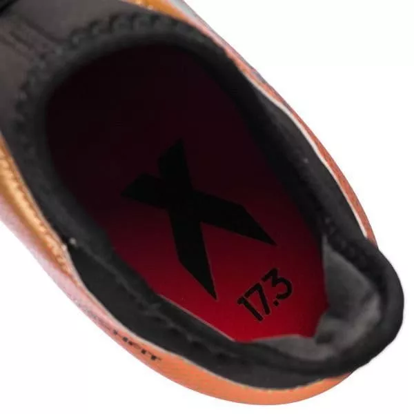 Kopačky adidas X 17.3 FG