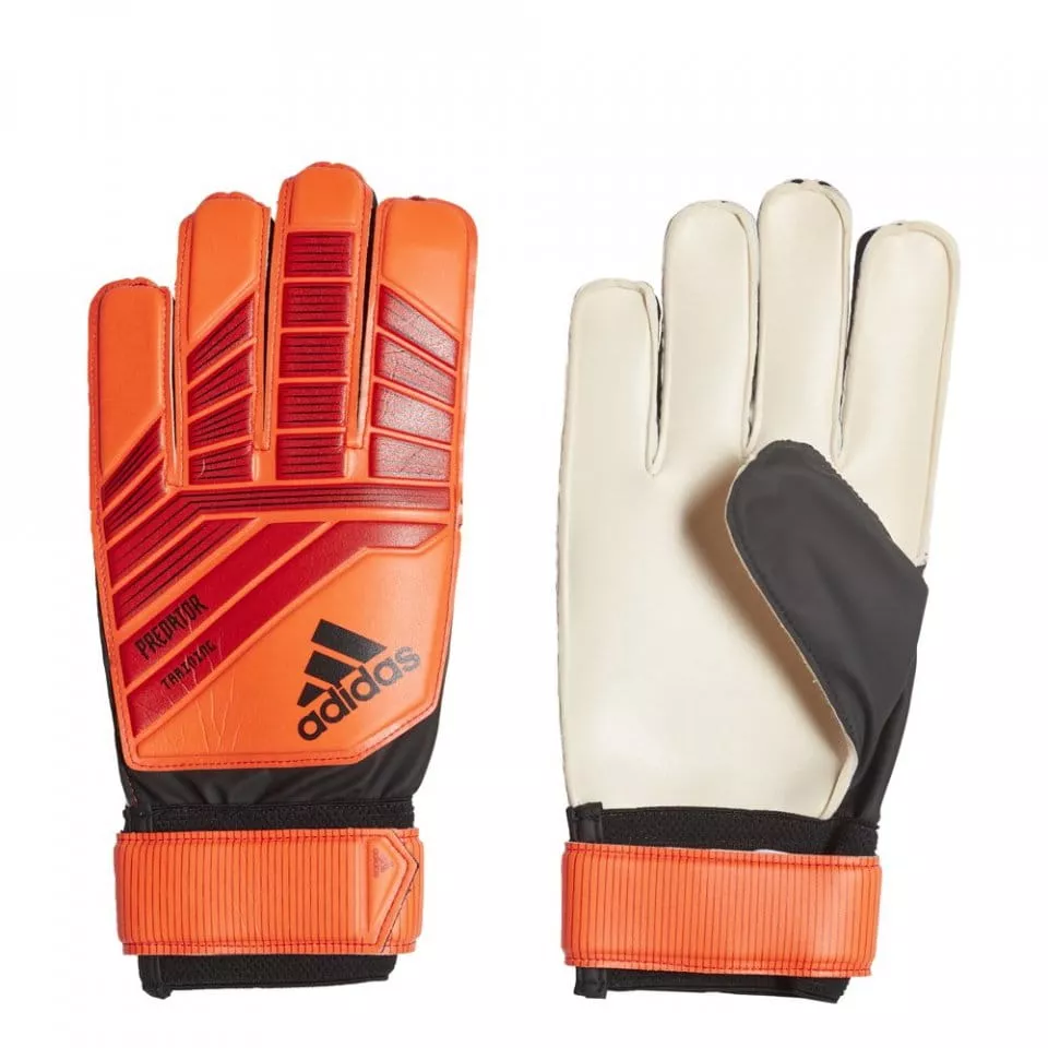 Goalkeeper's gloves adidas PRED TRN