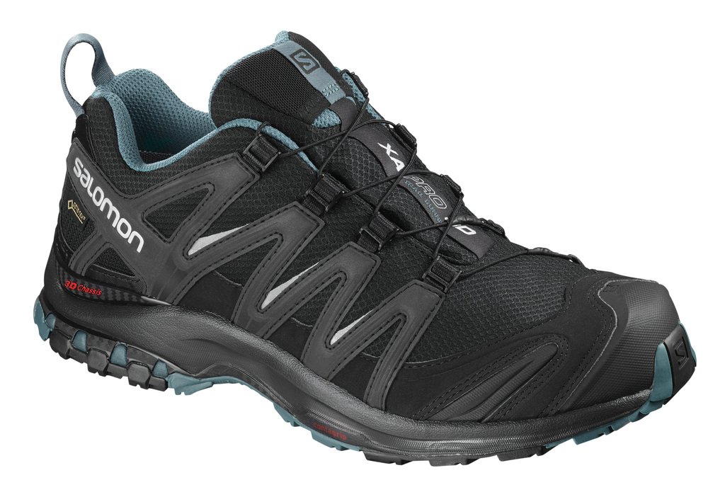 Trail shoes Salomon XA PRO 3D GTX NOCTURNE Bk/Bk/Malla