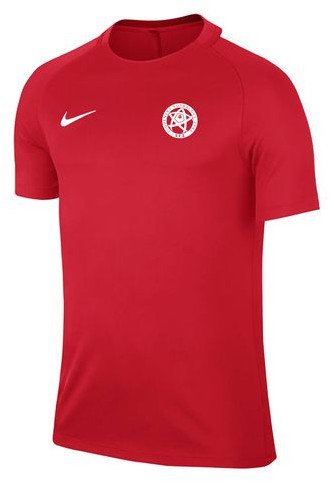 T-shirt Nike Dry Squad 17 Slovensko 2017/2018