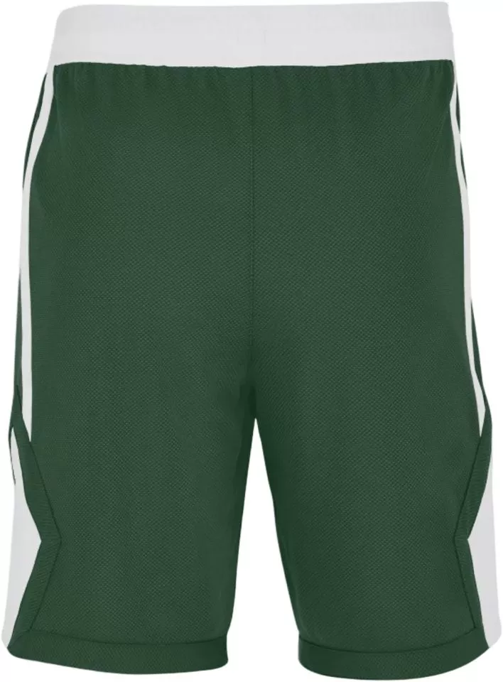Szorty Jordan Team 25 Dri-FIT Basketball