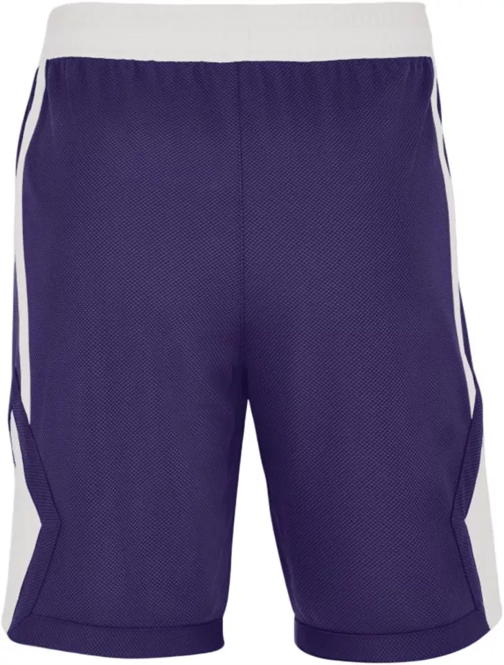 Sorturi Jordan Team 25 Dri-FIT Basketball