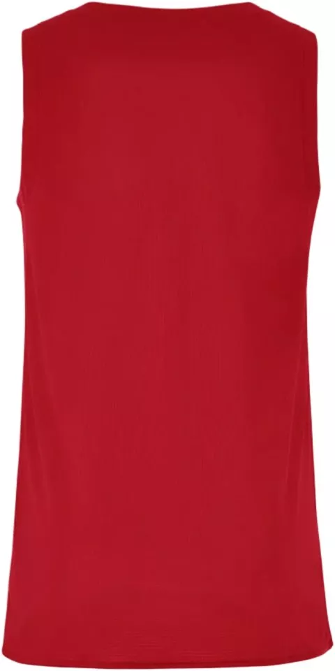 Nike Jordan Team25 Dri-FIT Basketball Stock Reversible Jersey Póló