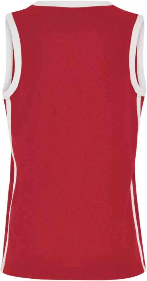 Dres Jordan Team25 Dri-FIT Basketball Stock Jersey Kids