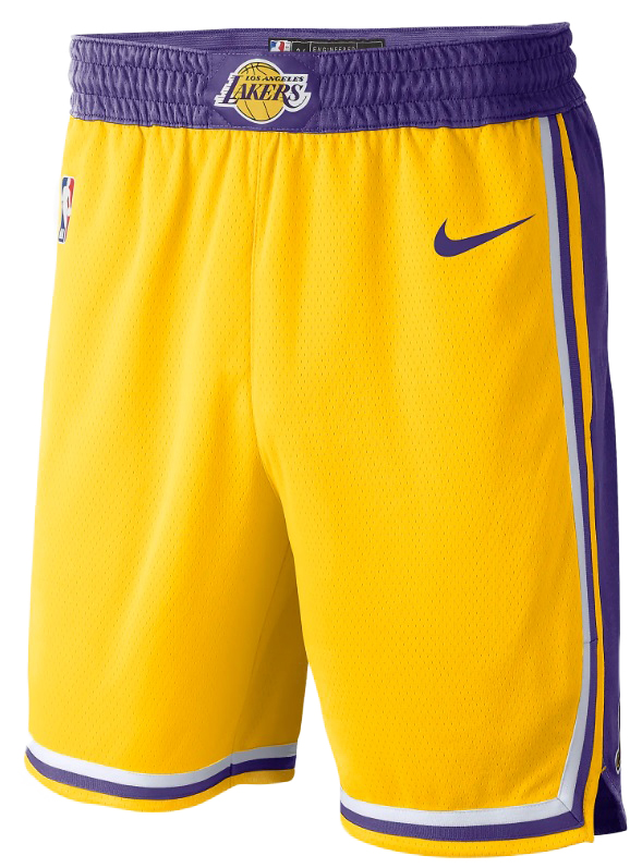 Šortky Nike Los Angeles Lakers Icon Edition Men s NBA Swingman Shorts