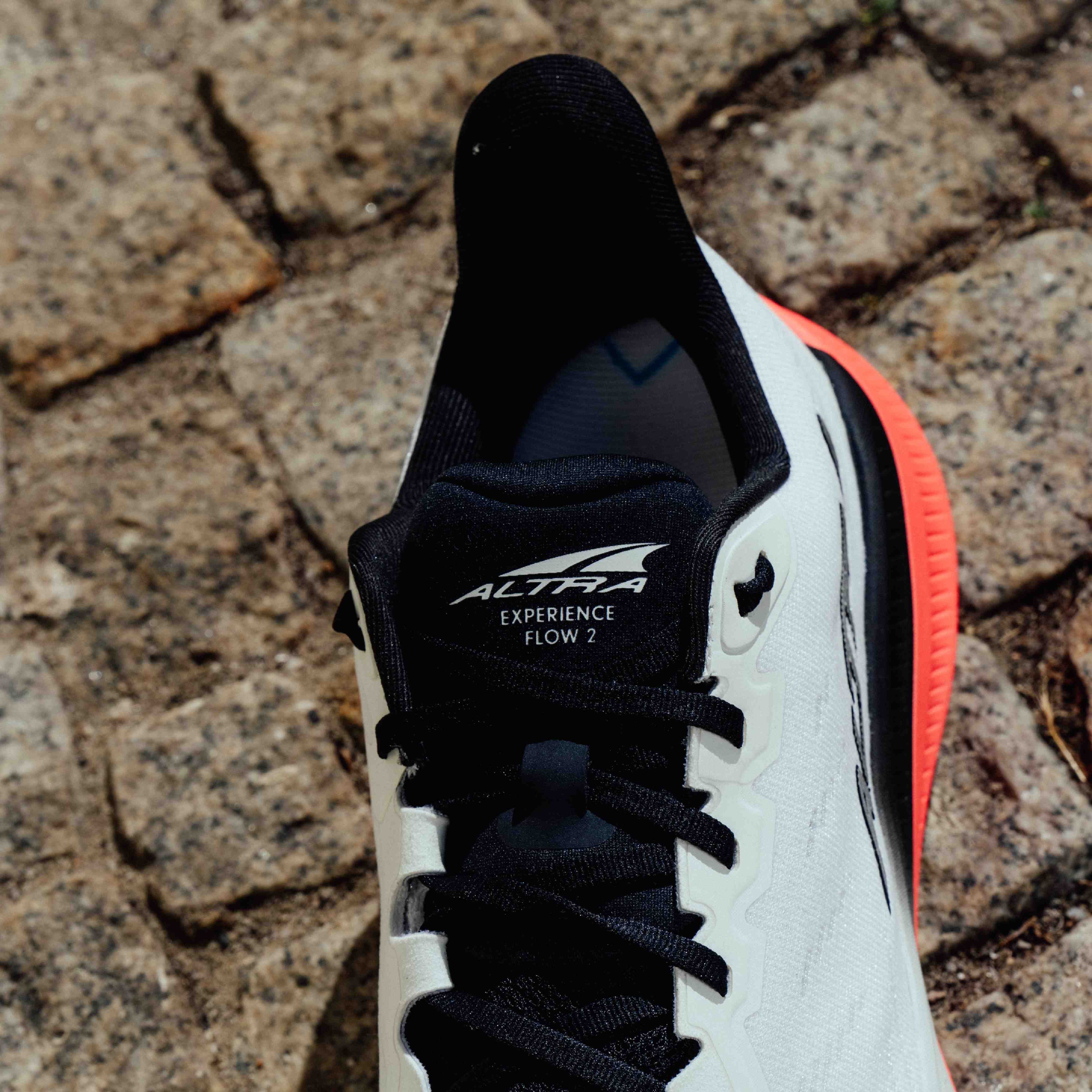 Running shoes Altra Experience Flow 2 Berlin - Top4Running.com