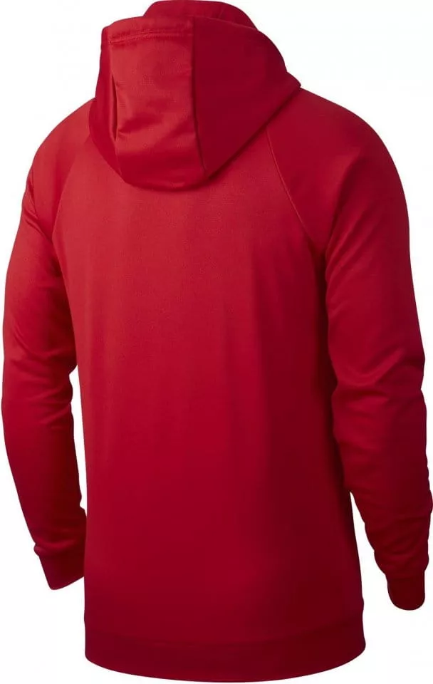 Hooded sweatshirt Nike M J 23ALPHA THERMA FLC PO