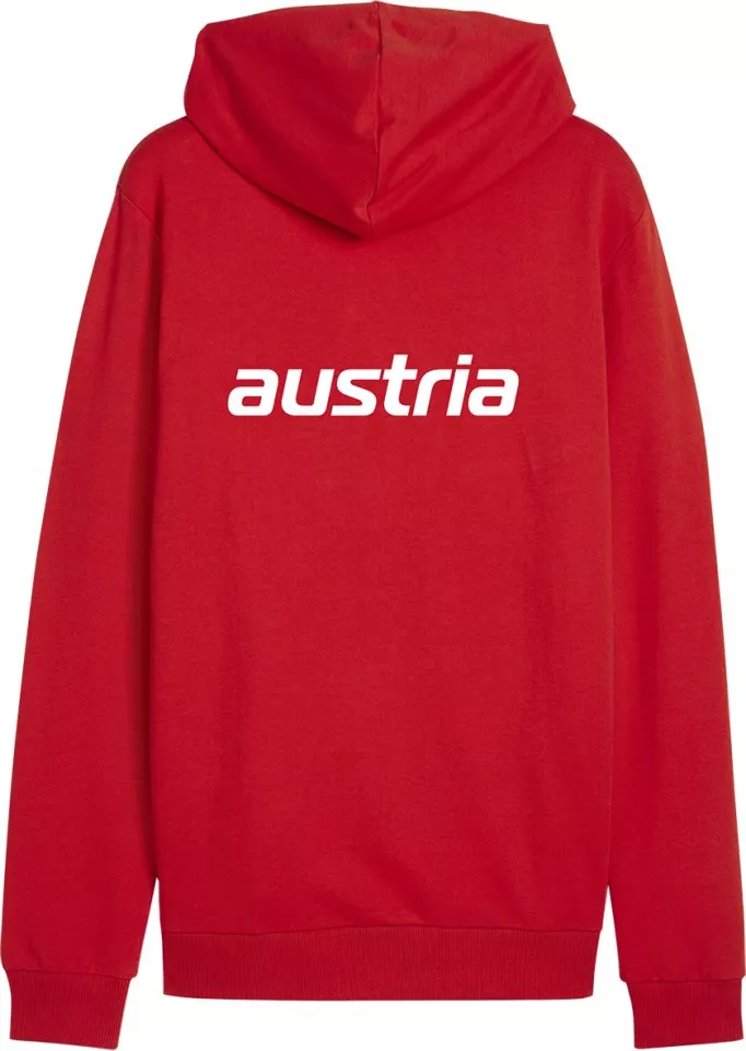 Felpe con cappuccio Puma Basketball Austria Hoody