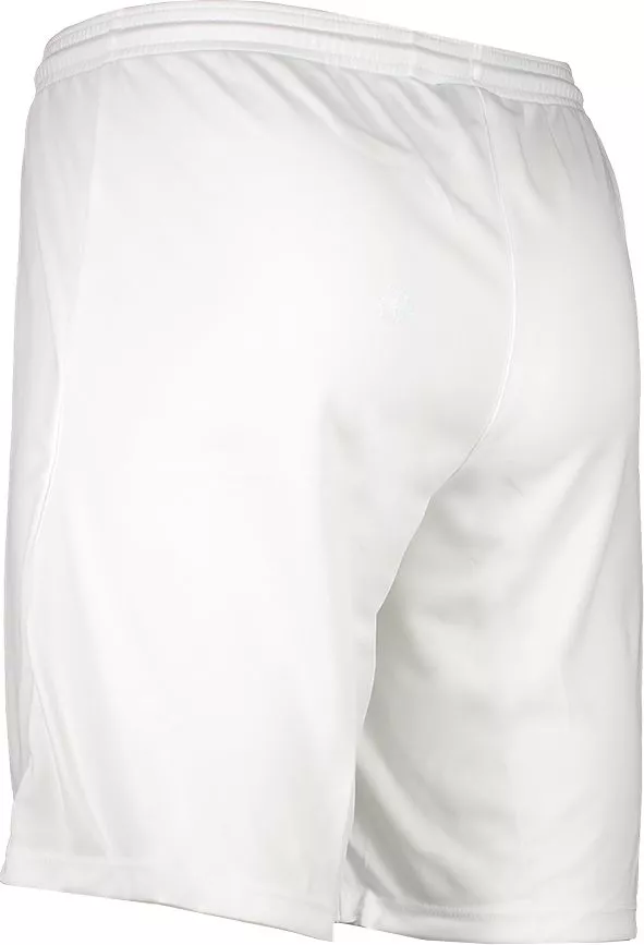 Sorturi Nike Dri-FIT Park III