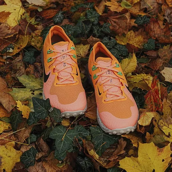 Trail shoes Nike WILDHORSE 6