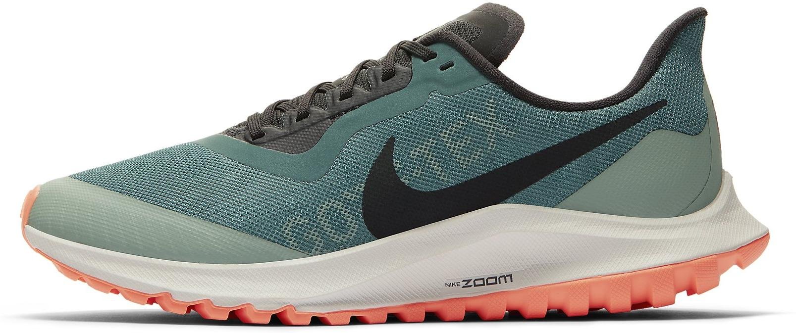 Trail shoes Nike W ZOOM PEGASUS 36 TRAIL GTX