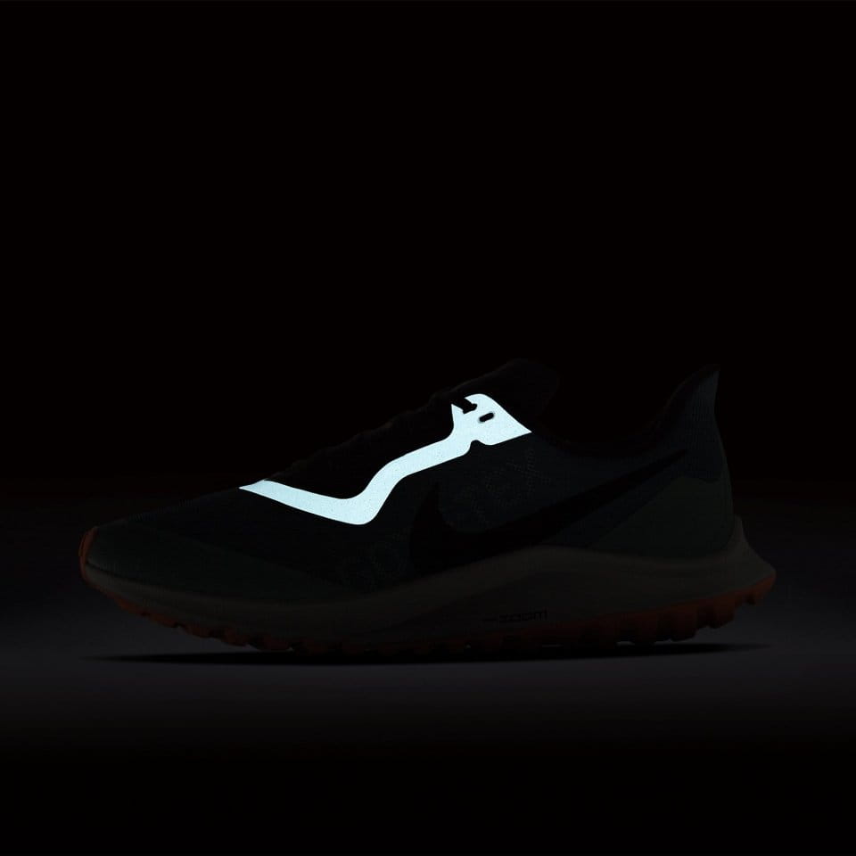 Trail shoes Nike W ZOOM PEGASUS 36 TRAIL GTX - Top4Fitness.com