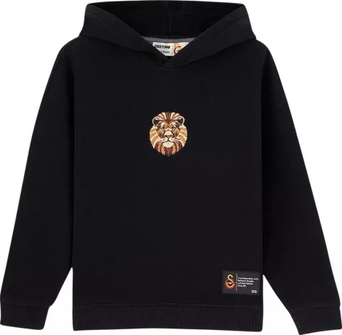 GSSTORE X Reflect Studio Lion Kids
